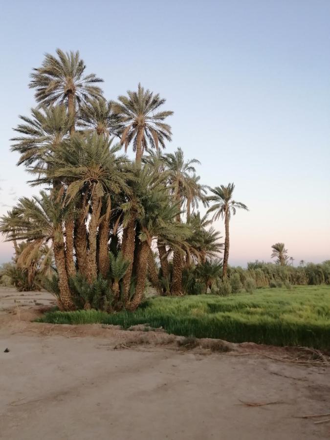 Gîte Ait lmaalam chez Ahmed Skoura Buitenkant foto